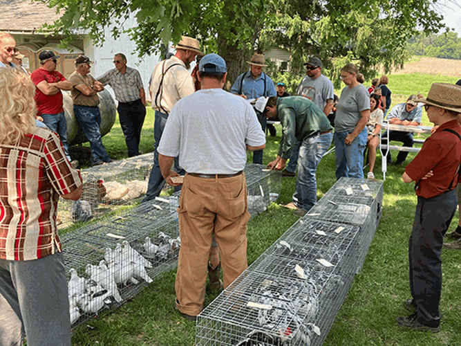 Two Mile Commission Co.