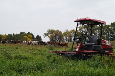 Cowbot with cows
