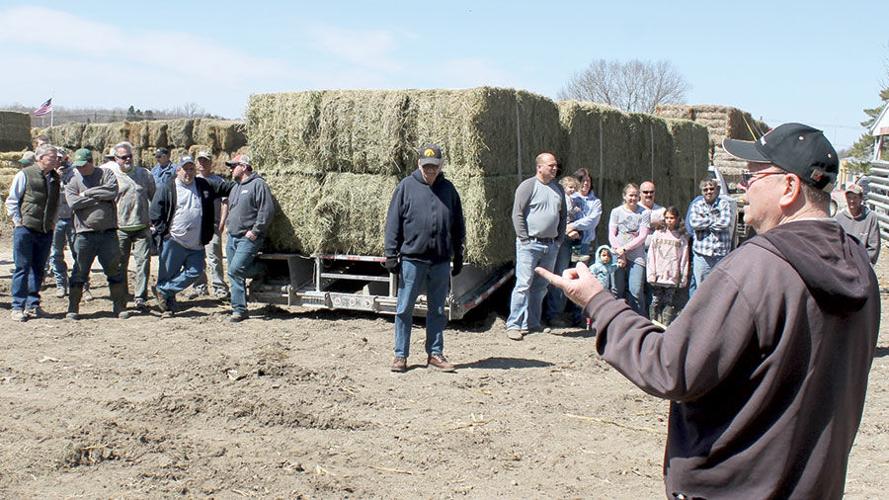 weekly hay auction at Dyersville