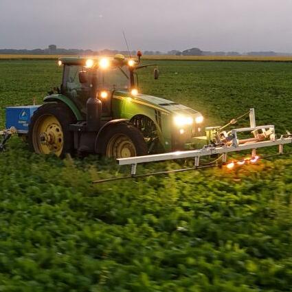 LASCO lightning weeder at work