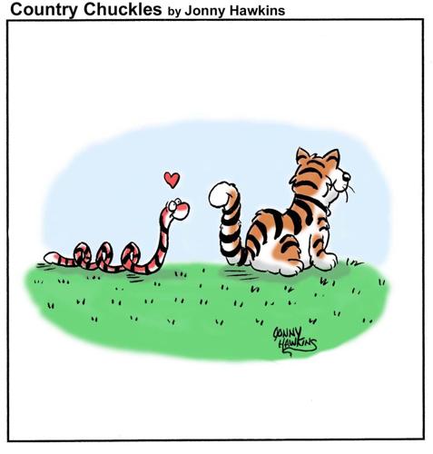Country Chuckles by Jonny Hawkins