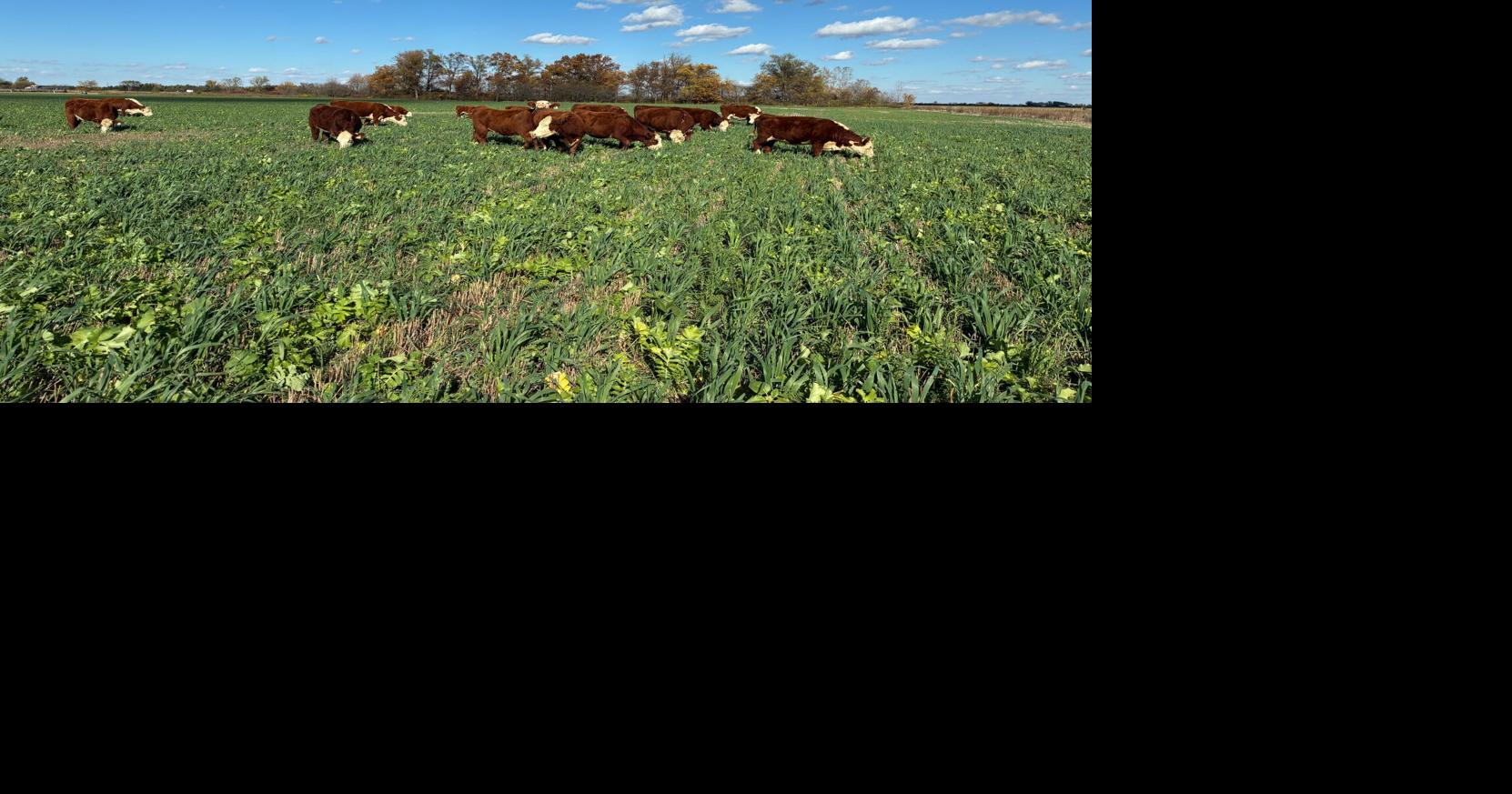 South Dakota Soil Health conference to outline benefits of regenerative ag