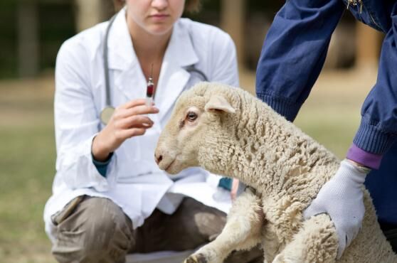 Antibiotic approval