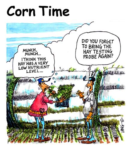Corn Time by Bob Lang