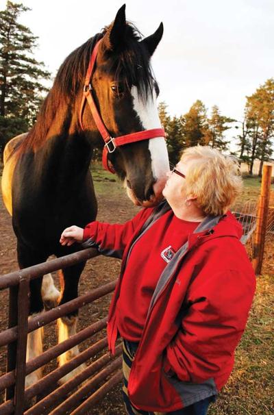 Becky Fevold - Draft Horse