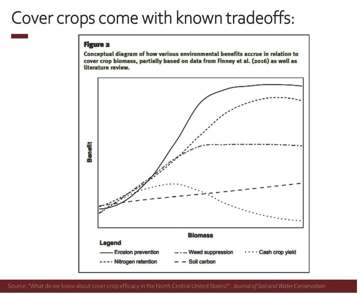 Cover crops come with known tradeoffs