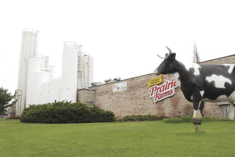 Lactose free milk (5) - worked.JPG