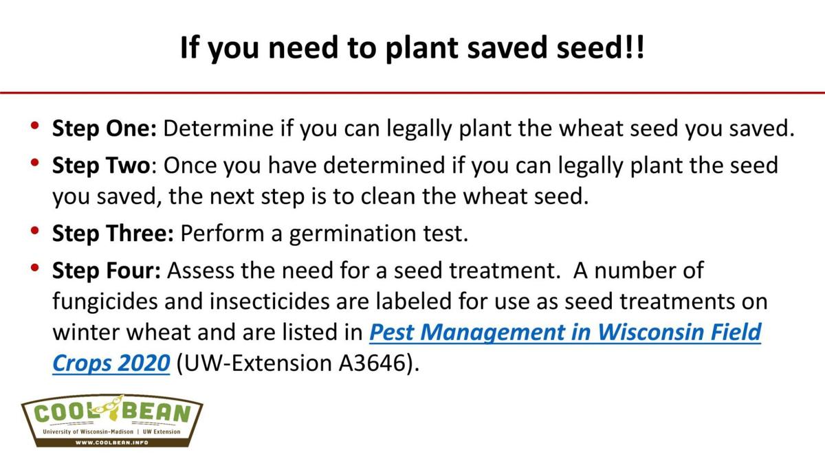 If you need to plant saved seed