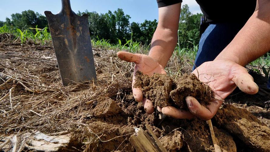 NRCS-soil-health-photo