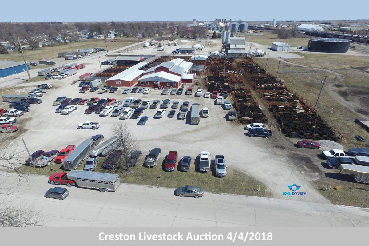 Creston Livestock Market sticks to winning formula