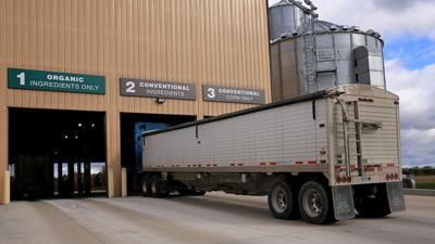 Grain truck to elevator
