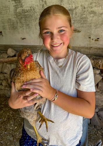 Ainsley Belschner