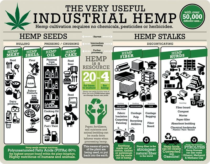 Nebraska Farmers Investigate Hemp Possibilities Crop Agupdate Com