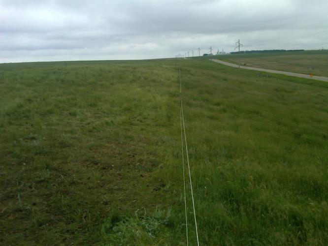 Mob grazing