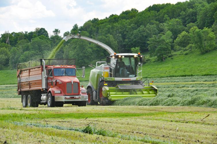 Truck, chopper in field