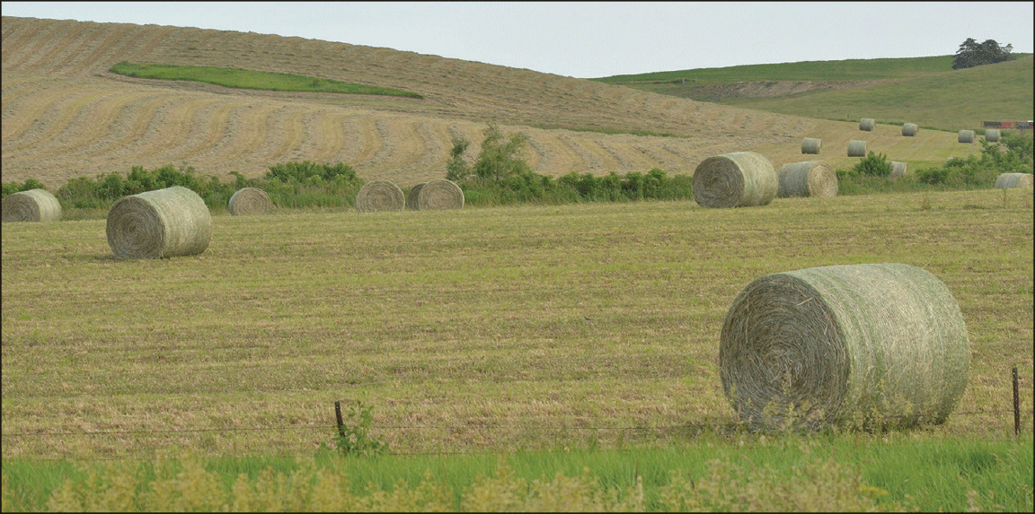 hay bales