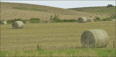 hay bales