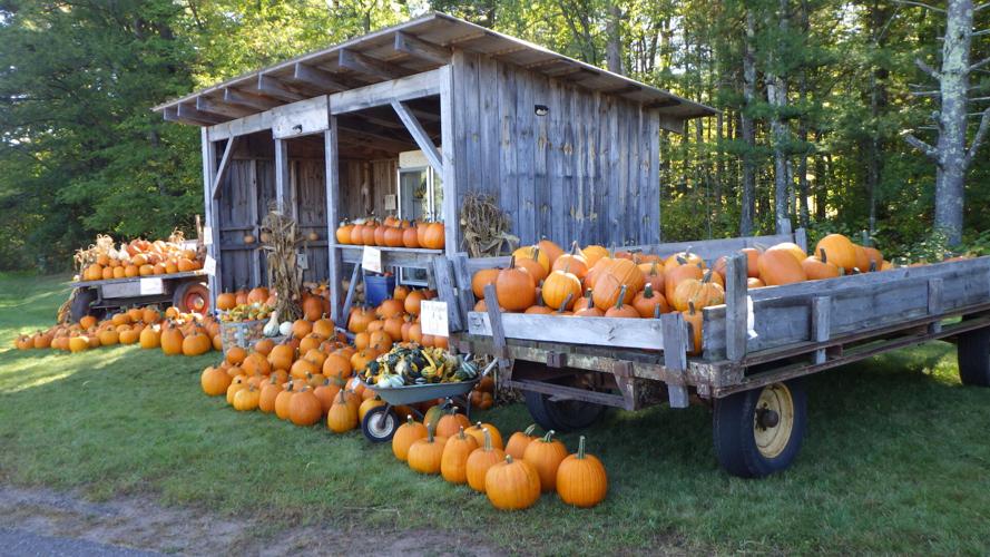 Pumpkins