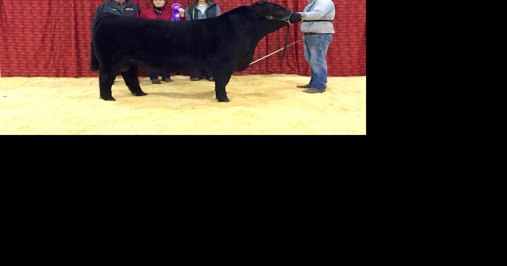 Livestock show 6.JPEG