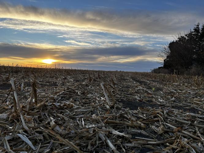 Soil Health (69).jpg