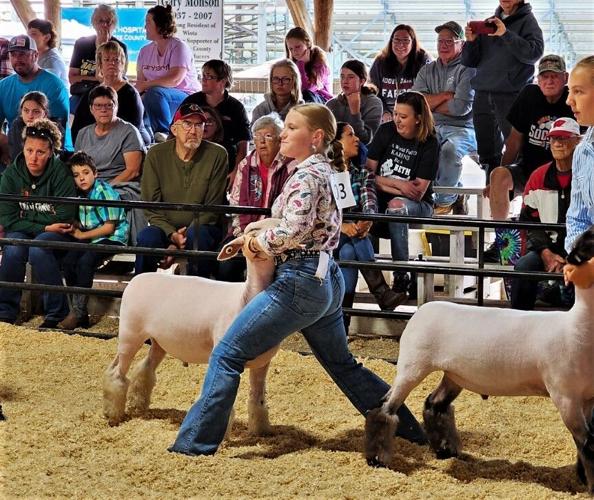 Cori Atten shows ram lamb