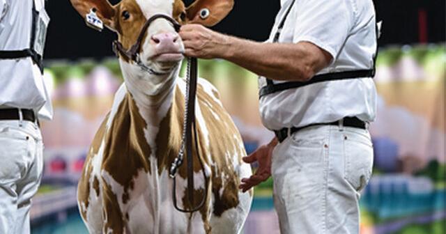 World Dairy Expo 2025 photos