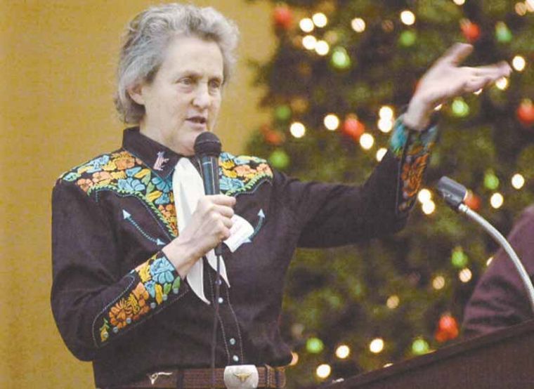 Temple Grandin hopes to keep bad cattle handling from normal