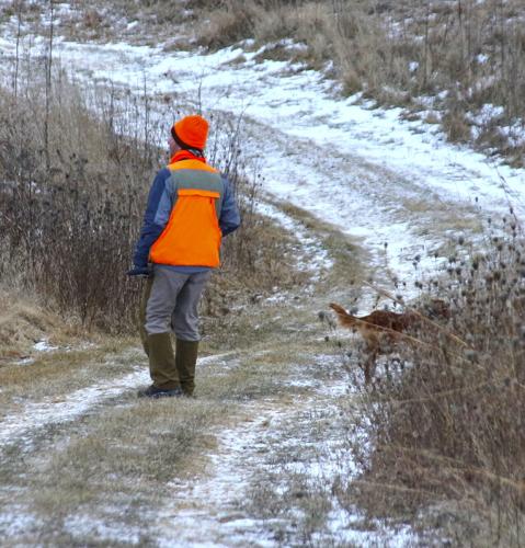 No snow hunter with dog
