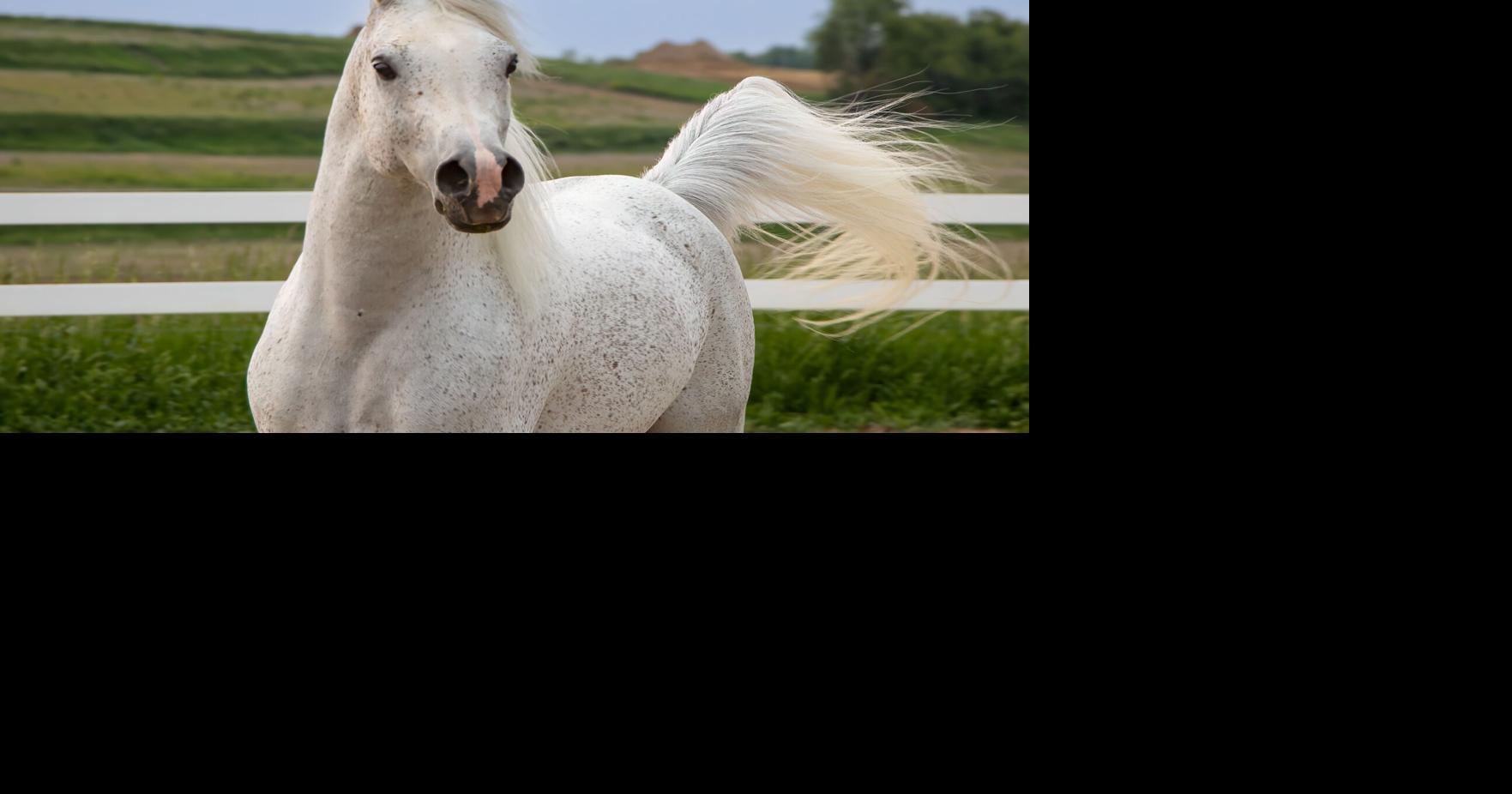 2 ralph sheri savig.jpg