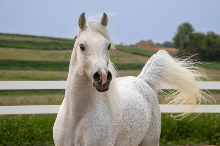 2 ralph sheri savig.jpg