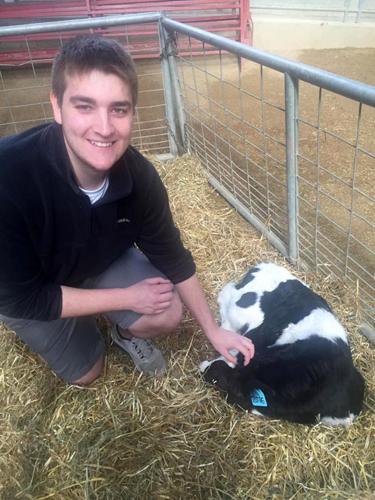 Connor Willems with calf