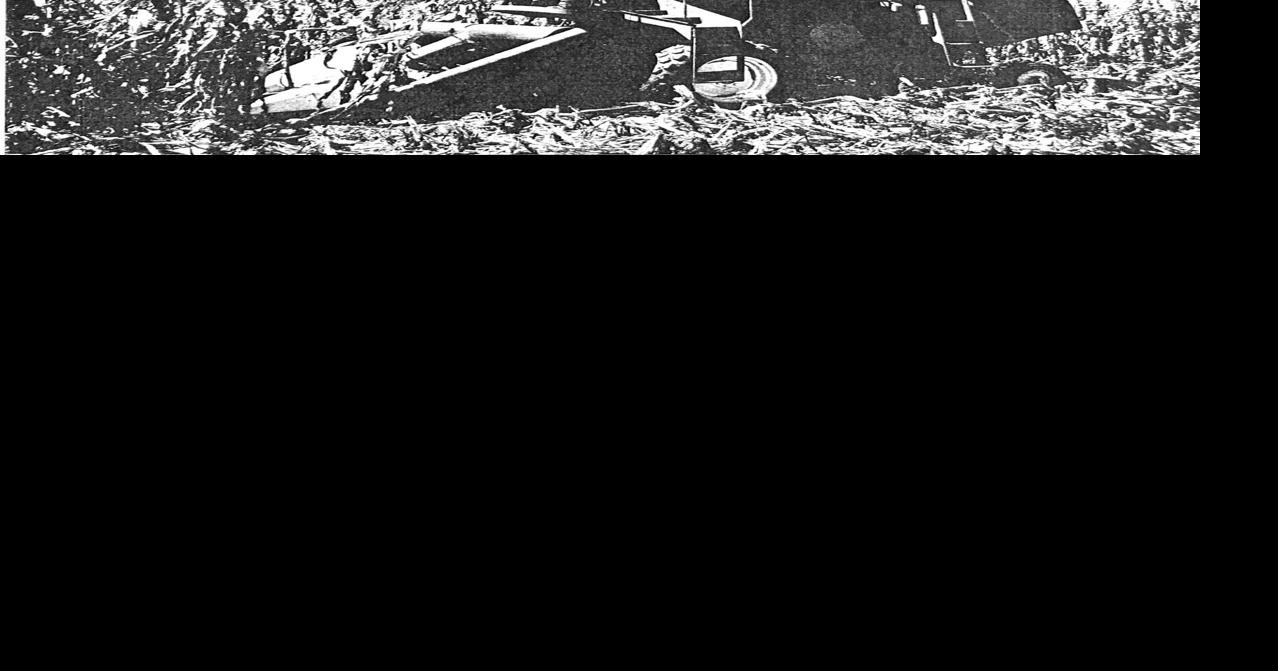 Harvey Bish 7 ad - worked.tif