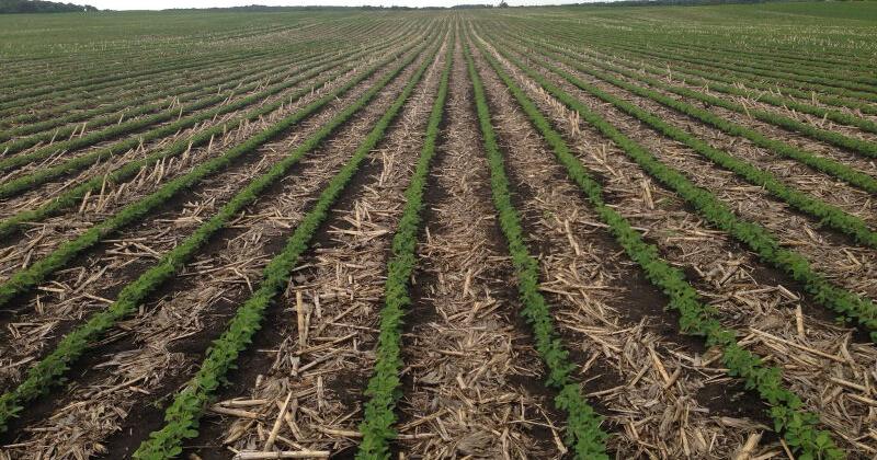 New tillage technologies allow farmers to adjust settings, angles