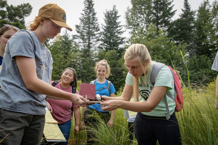 Treehaven Wisconsin Vision offers real-world experience