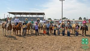 Chase County 4-H 1.JPG