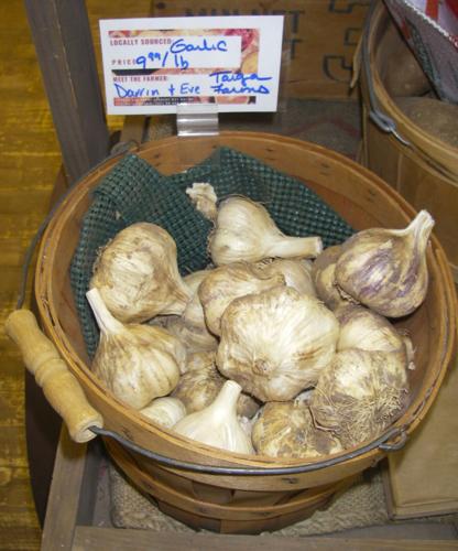 Garlic
