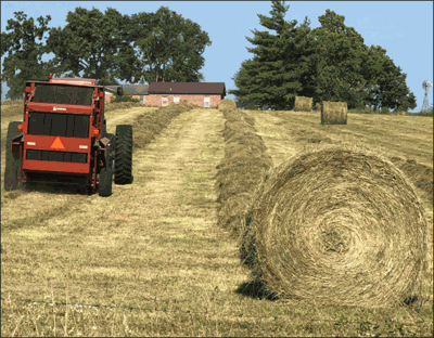 baling hay