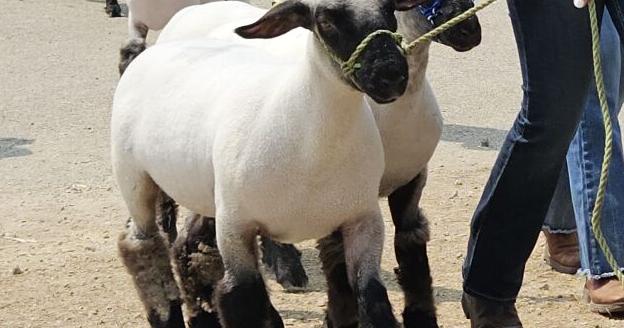 From the Fields: LeeAnne Bulman with Kaleb Ellis