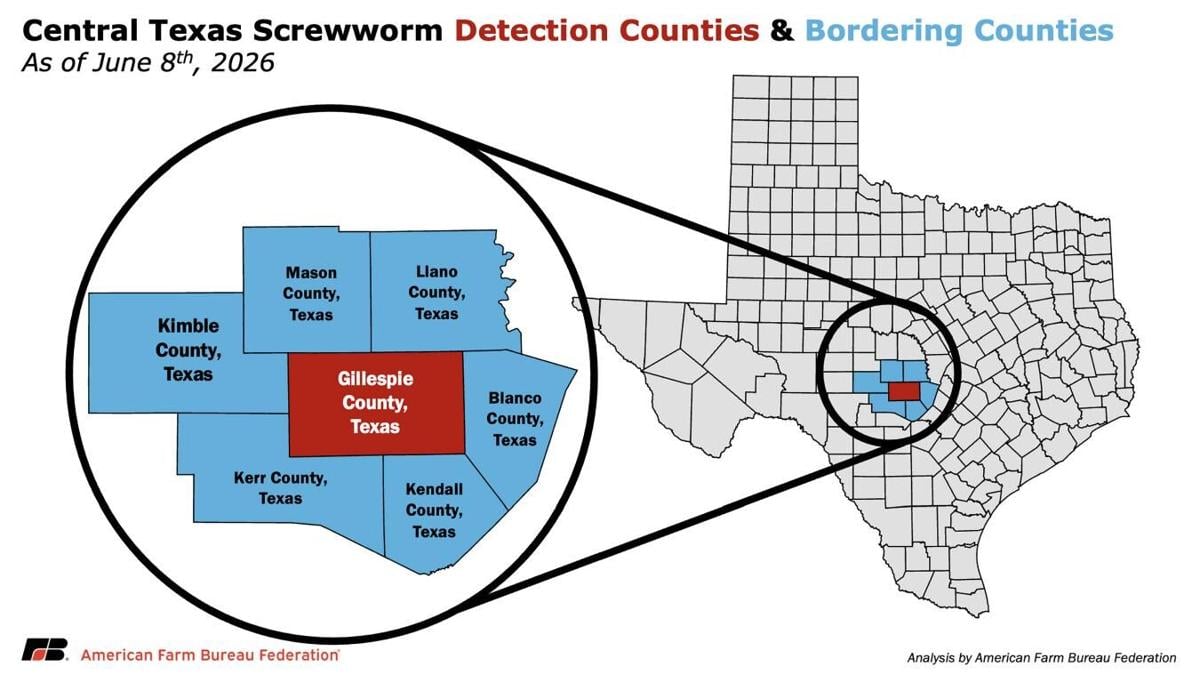 Central Texas Detection Zone