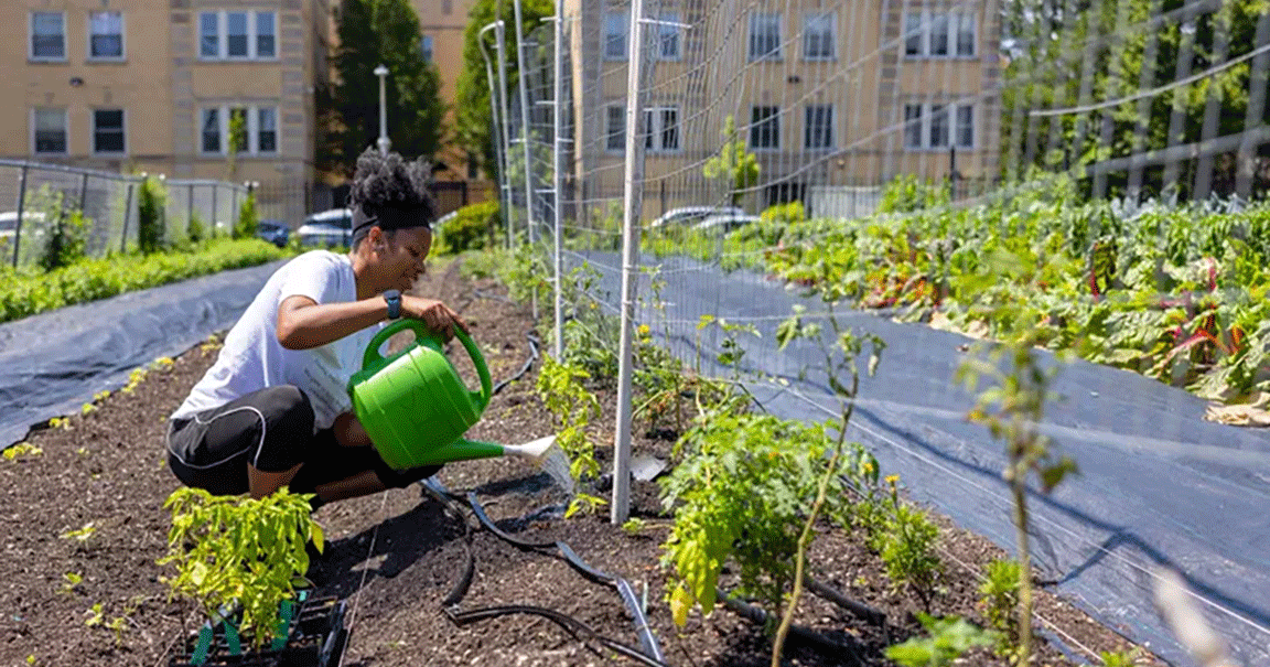 Local food and farm programs react to cuts