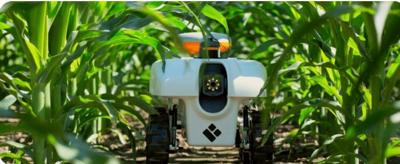 Under-canopy robots may produce better seeds, reduce chemicals