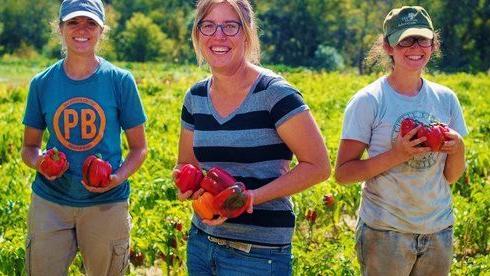 Farmerpagebharsar Farmerpagebharsar