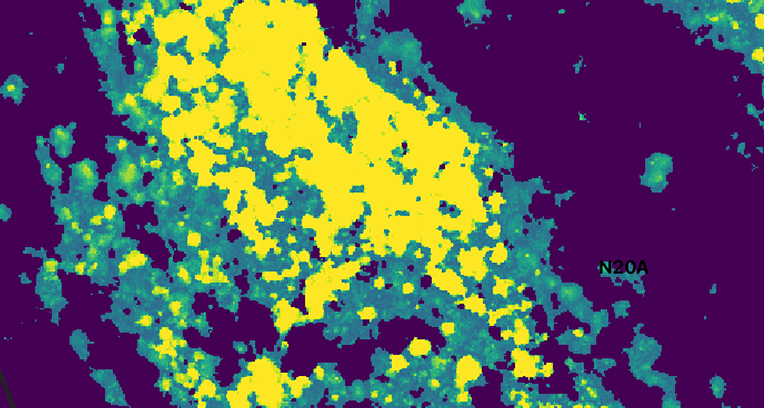 Plant canopy height analysis