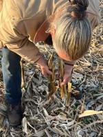 Bokashi - a biological revolution - How fermentation can boost yields and profits for midwestern crop growers