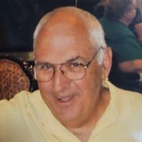 Stork obit