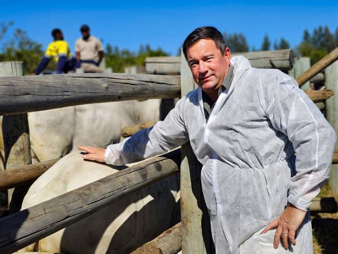 John Steenhuisen