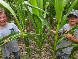Timely rain offers hope for drought-stressed crops