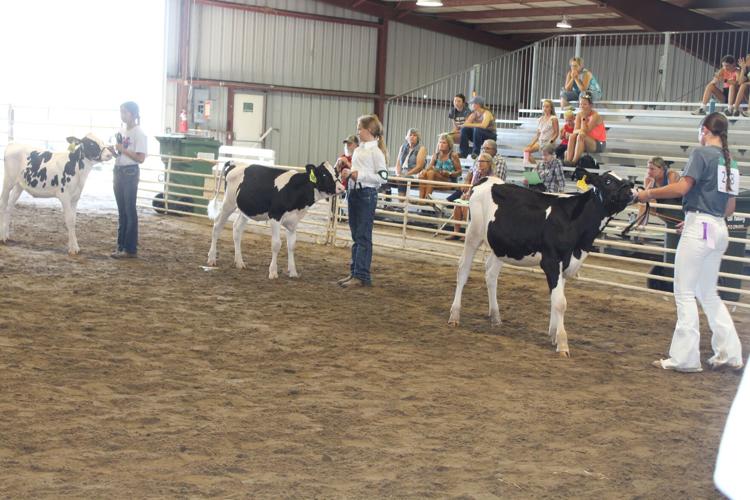 Wayne County 4-H 3.JPG