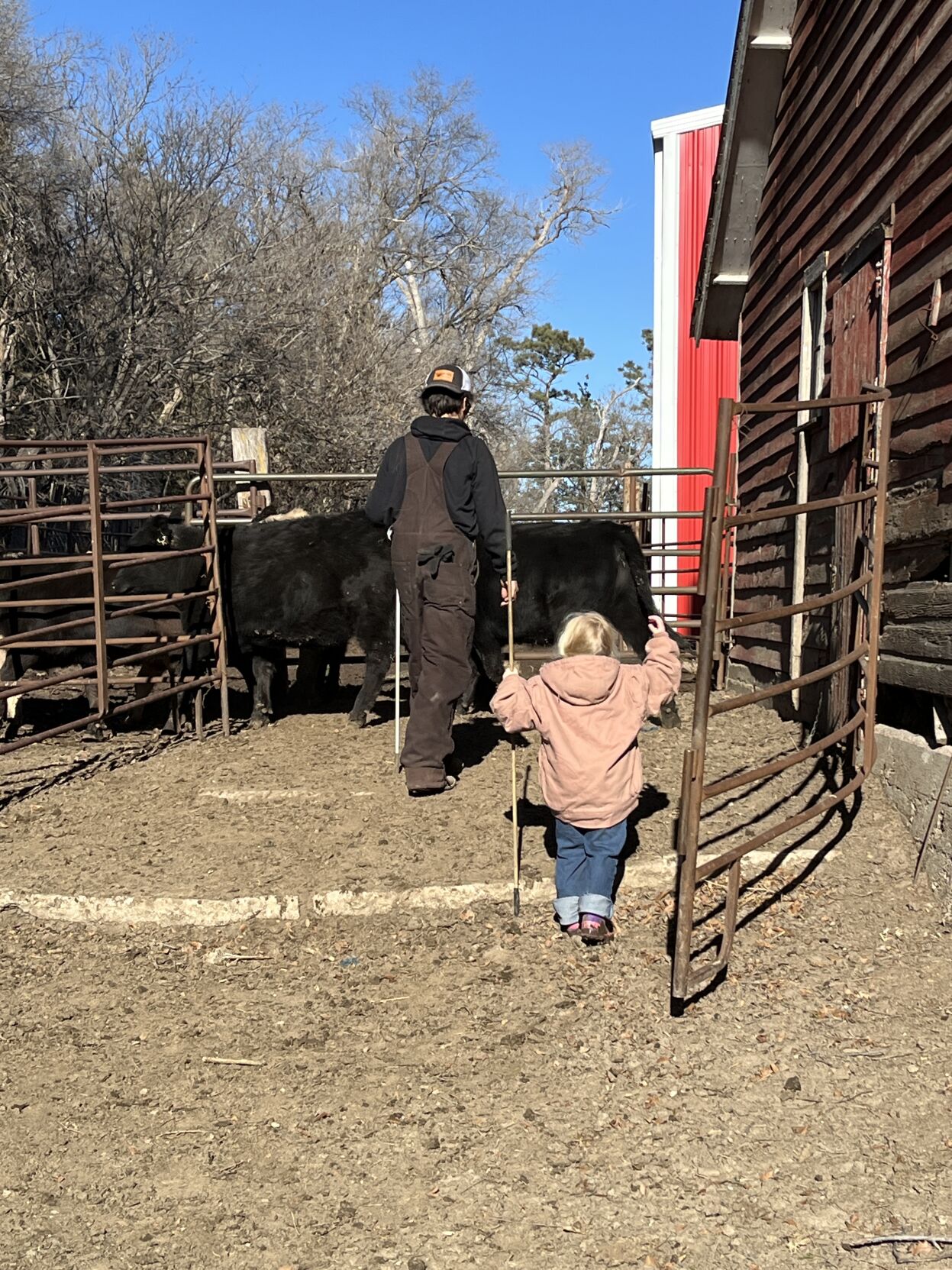 Down on the Farm (3).JPG