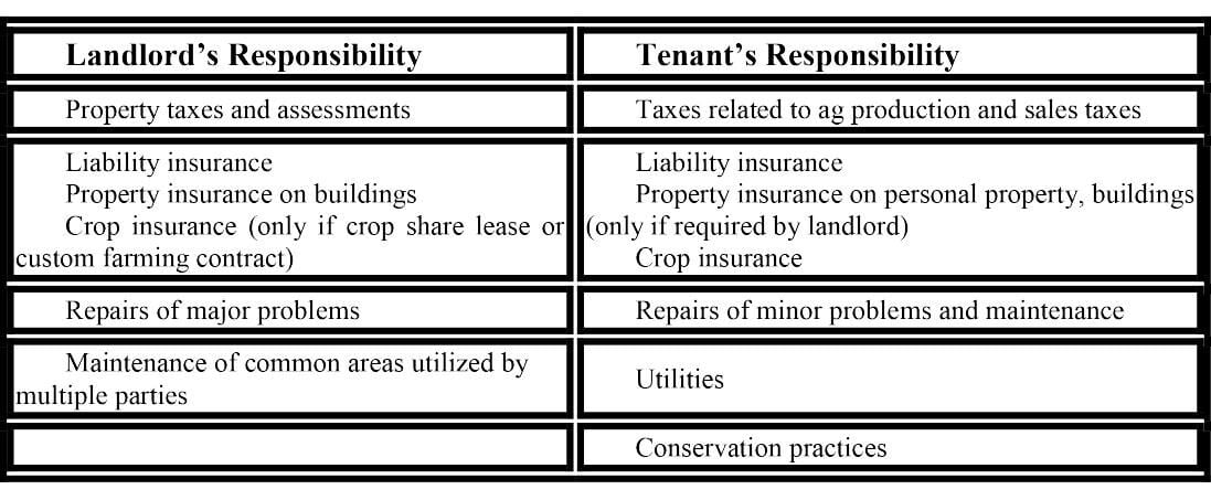 Landlord tenant Responsibilities